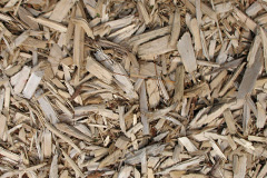 biomass boilers Cardhu