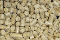 Cardhu biomass boiler costs